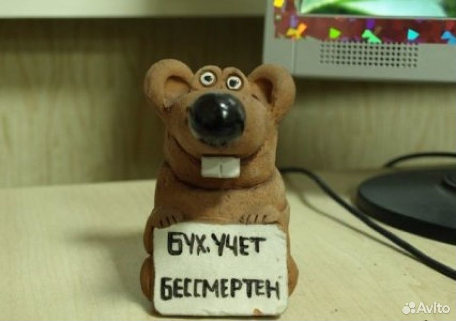 должностная инструкция главного бухгалтера на енвд