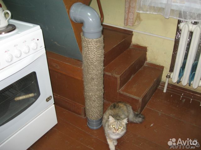 Чесалки для когтей кошкам своими руками Чесалки для когтей кошкам своими руками