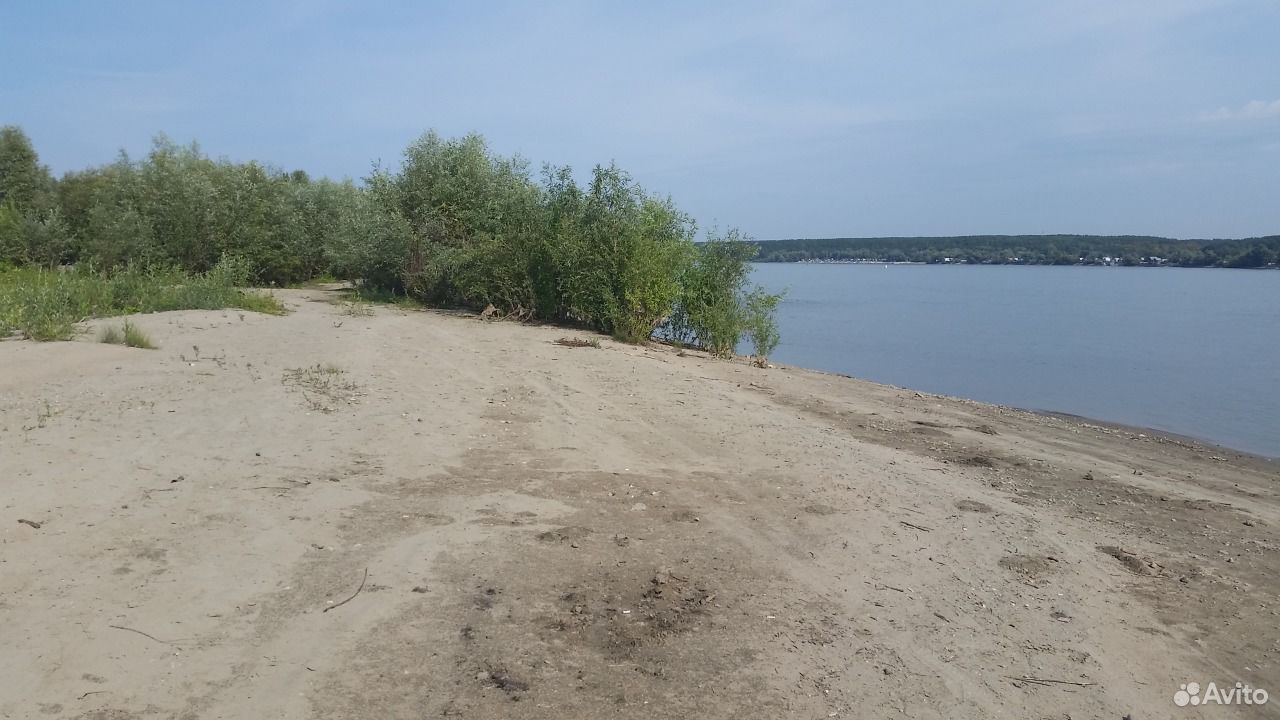 Озеро старица новосибирская область