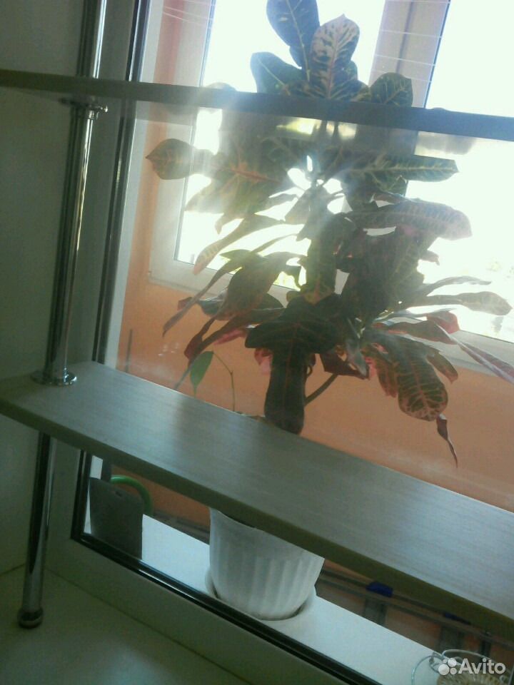 Полка под цветы на окно купить на Зозу.ру - фотография № 2