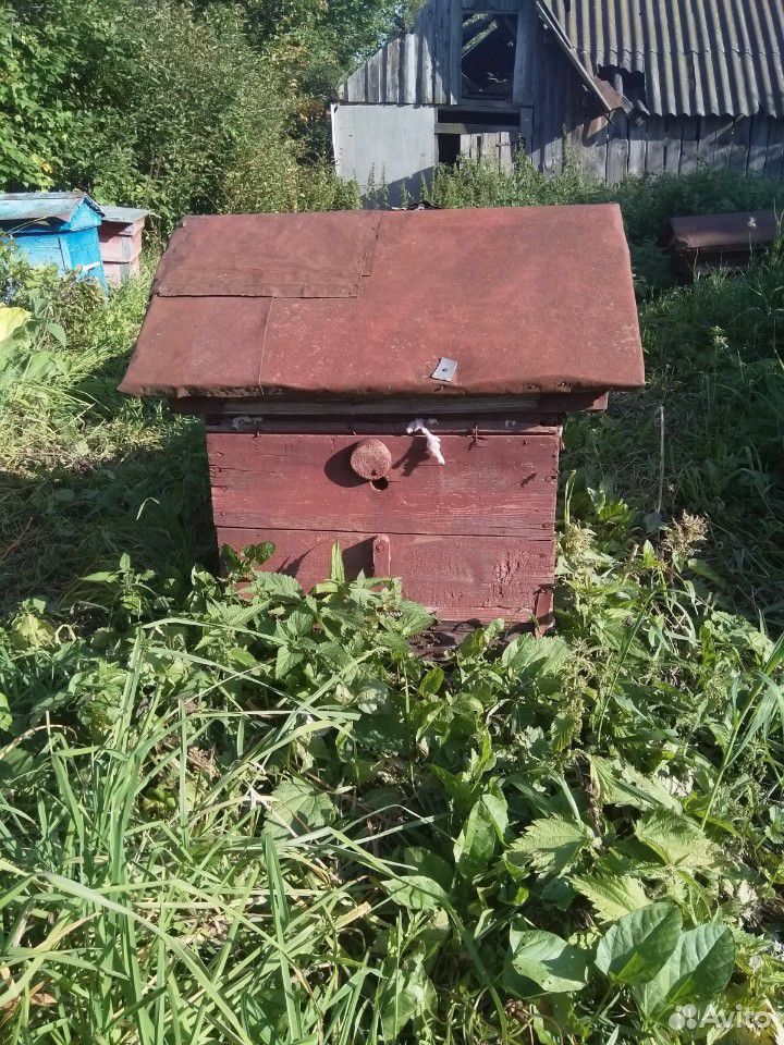 Продам пчелосемьи с ульями купить на Зозу.ру - фотография № 2