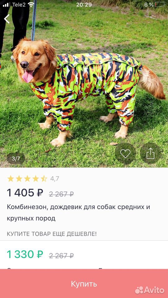 Дождевик для собак купить на Зозу.ру - фотография № 1