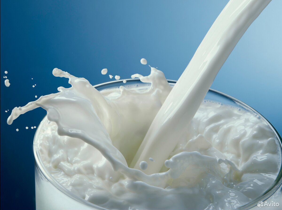 Молоко и молочная продукция купить на Зозу.ру - фотография № 1