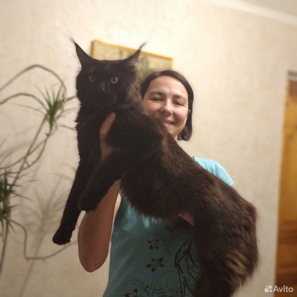 Кот для вязки купить на Зозу.ру - фотография № 5