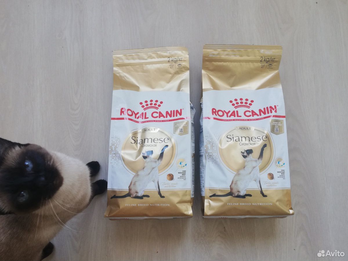 Корм для кошек Royal Canin Siamese купить на Зозу.ру - фотография № 1