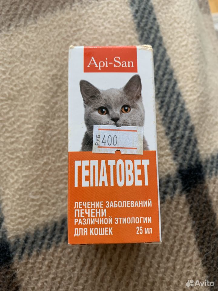 Лекарство для кошки Гепатовет купить на Зозу.ру - фотография № 1