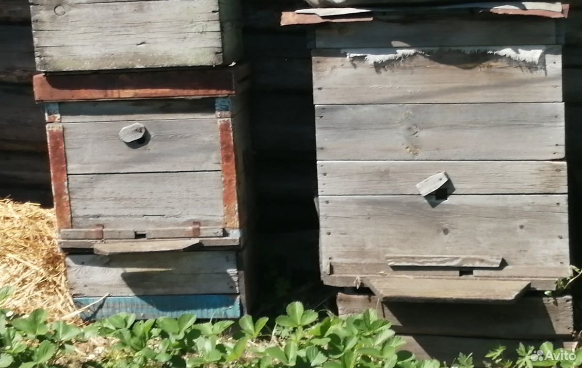 Улей для пчёл купить на Зозу.ру - фотография № 2