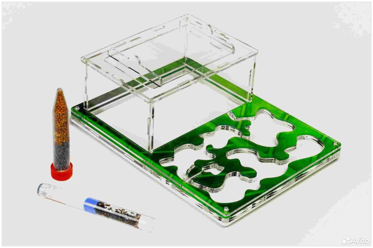 Где Можно Купить Муравьиную Ферму С Муравьями