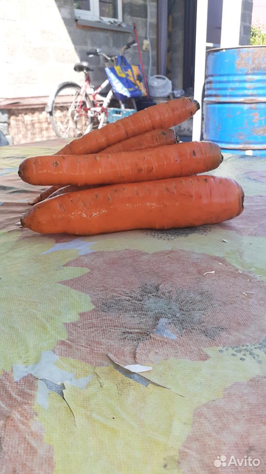 Продам морковь с домашнего огорода купить на Зозу.ру - фотография № 2