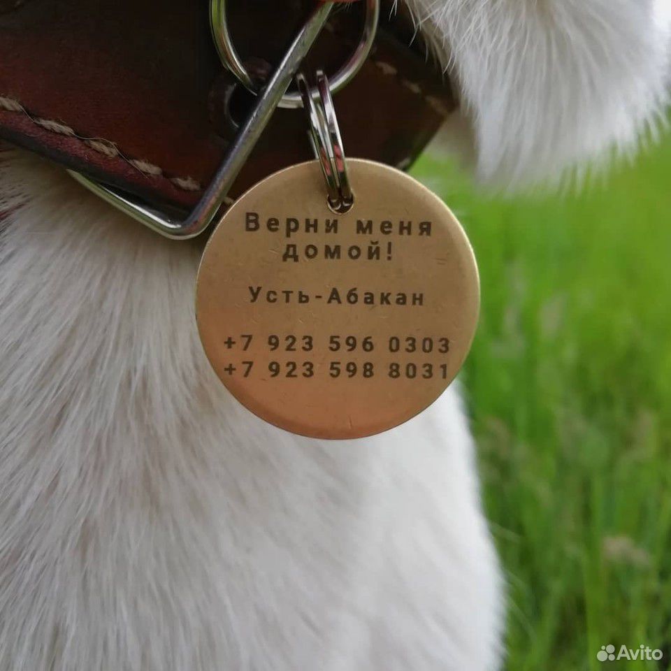 Адресник для вашей собачки С красивым дизайном купить на Зозу.ру - фотография № 3