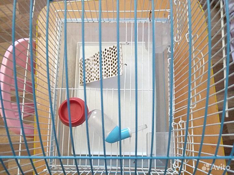 Клетка для попугаев переделанная для хомяков с дом купить на Зозу.ру - фотография № 2