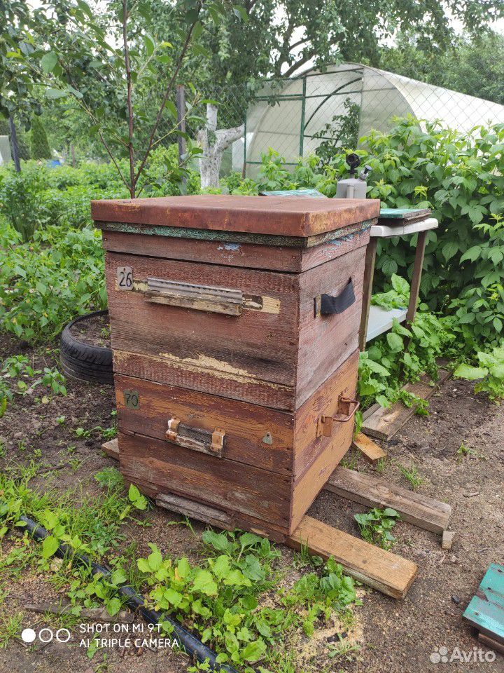 Пчеловодные ульи купить на Зозу.ру - фотография № 2