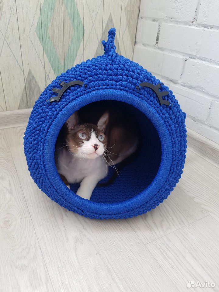 Домик для кота, котолежанка китсожралкота синий купить на Зозу.ру - фотография № 1