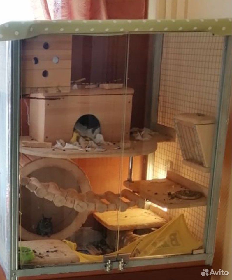 Клетка (витрина) для грызунов купить на Зозу.ру - фотография № 2