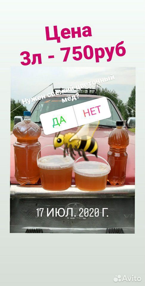 Мед купить на Зозу.ру - фотография № 1