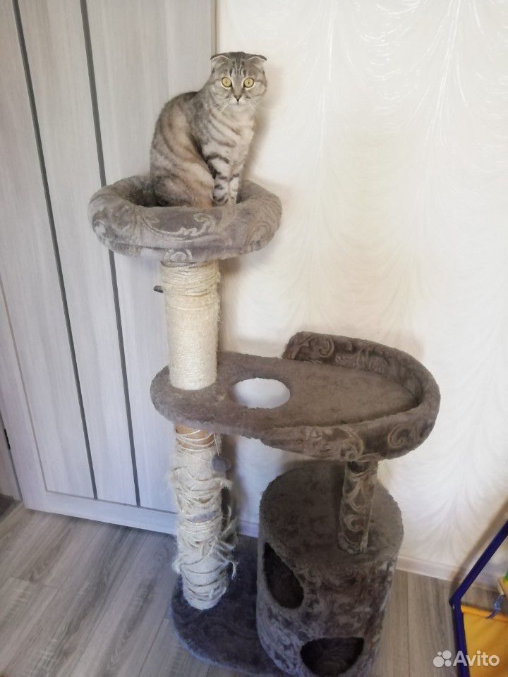 Когтеточка дом для кошки купить на Зозу.ру - фотография № 1