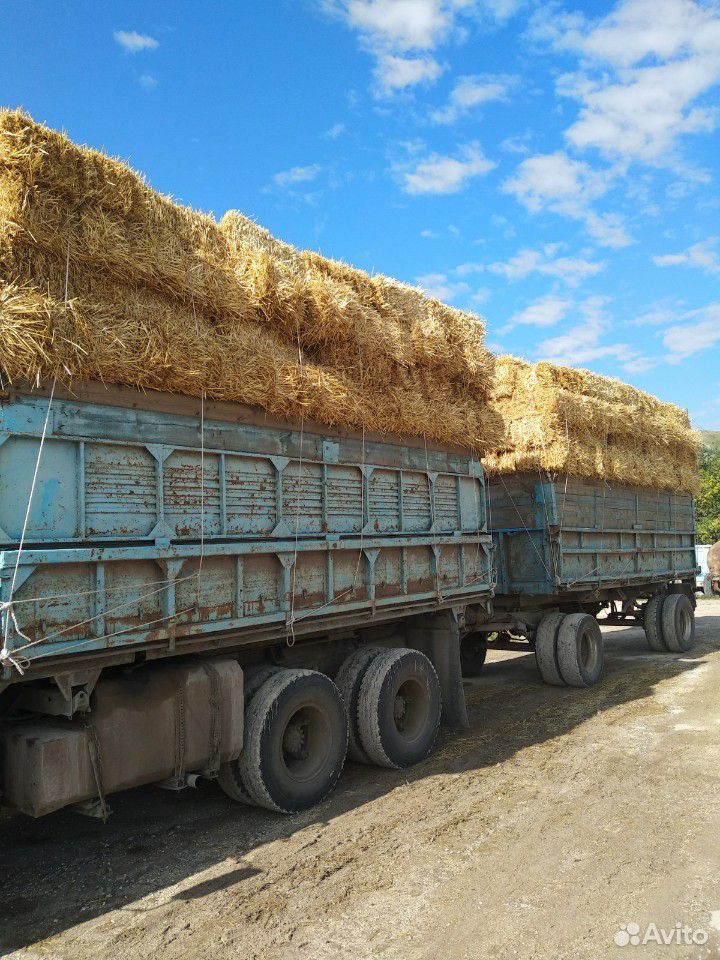 Солома пшеничная возможна доставка находится в Лев купить на Зозу.ру - фотография № 1