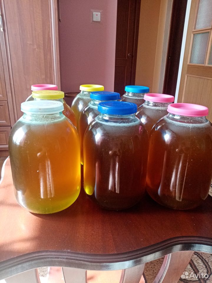 Продаётся свежий мёд купить на Зозу.ру - фотография № 2
