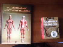 Анатомия синельникова 1 том. Анатомический атлас Винс Перез. Большой атлас анатомии человека кладезь. Большой атлас анатомии человека | Перез Винсент. Большой атлас анатомии человека Винс Перез обложка.