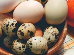 Яйца деревенские - свежие и копченые