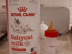 Заменитель кошачьего молока, Royal Canin