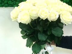 19 белых роз с доставкой за час + 2 подарка