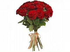 Розы красные 51 шт, крупный бутон