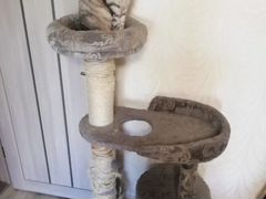 Когтеточка дом для кошки