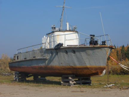 Костромич Т-63