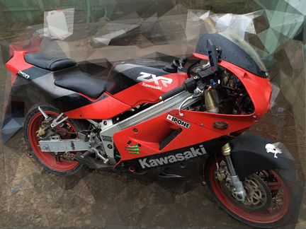 Kawasaki zxr 250