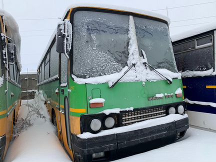 Автобус Икарус 256.21Н1