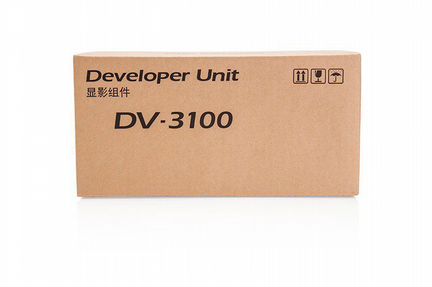 DV-3100