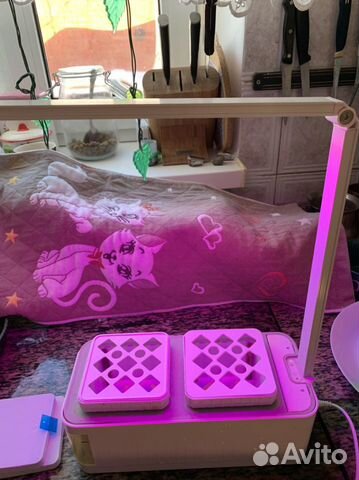 Станция для выращивания зелени, рассады