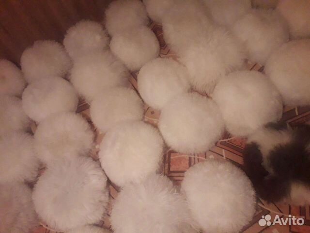 Папахи как у Хабиба