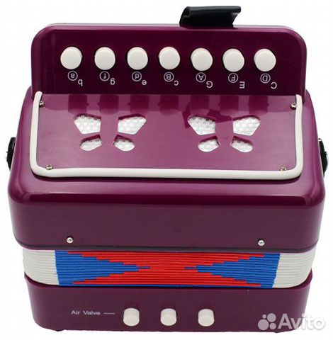 Гармошка детская Future Star FF-7K-PL сливовый