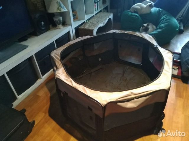 Вольер для щенков и котят