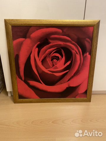 Картина красная роза постер в рамке