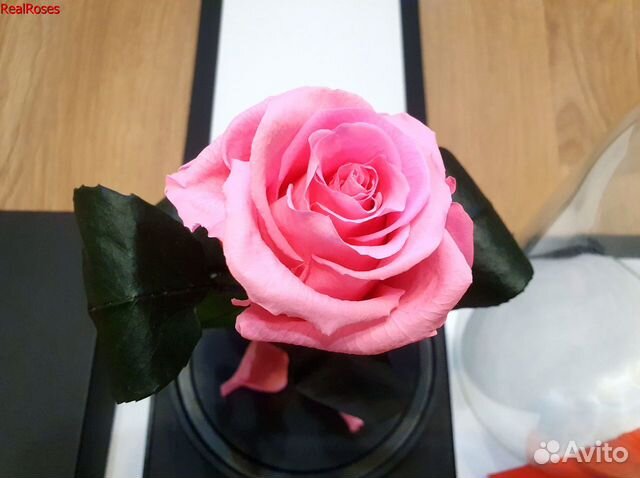 Роза в колбе