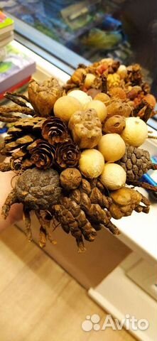 Букет сухоцветов для декора и творчества