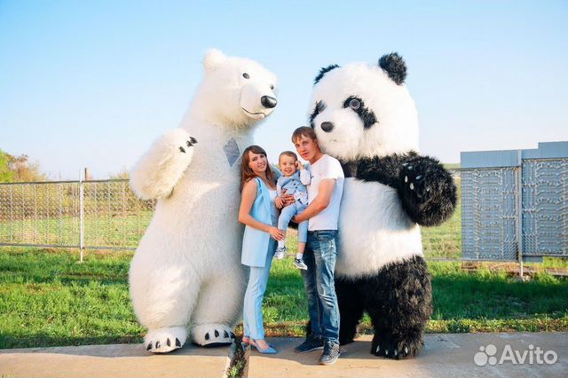 Поздравление от белого мишки, панды в Саратове