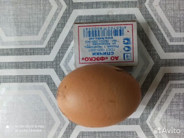 Домашние куриные яйца