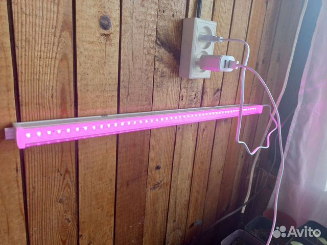 Фитолампа для рассады