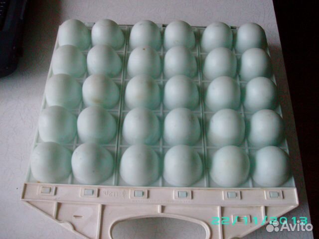 Контейнер для яиц, лоток для холодильника