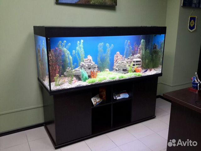 Чистка/обслуживание аквариумов