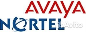 Обслуживание / ремонт атс Nortel / Avaya