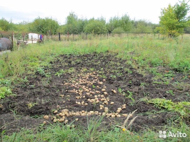 Участок 8.5 сот. (СНТ, ДНП)