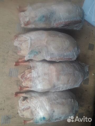 Мясо гуся, утки