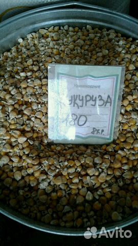 Комбикорм, зерно купить на Зозу.ру - фотография № 4