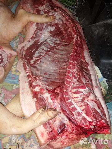 Мясо домашней свинины