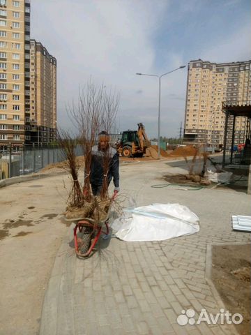 Разнорабочие Разнорабочие